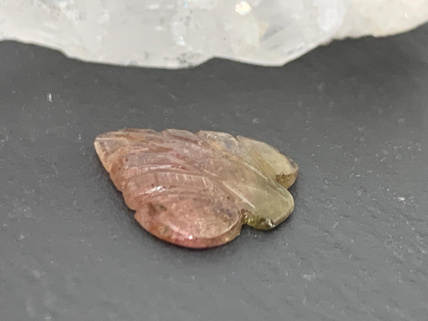 Carved Tourmaline 12x14x2mm cabochon