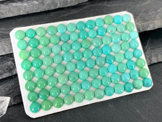 Turquoise round 5mm cabochon - Calibrated cabochons