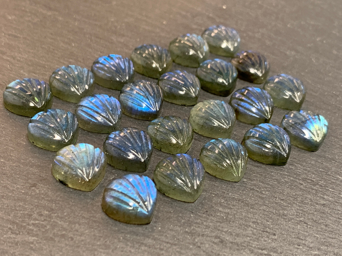 Labradorite Sea shell 12x12mm cabochon carved