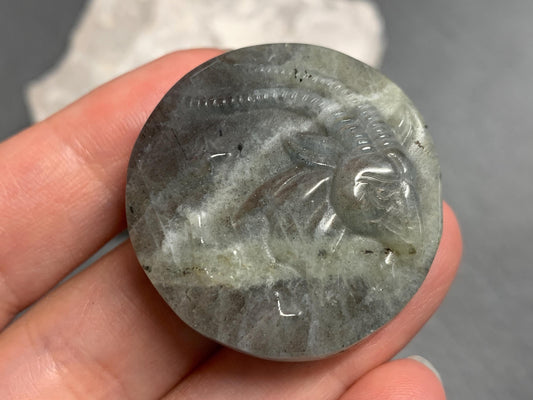 Capricorn Purple Labradorite Zodiac Signs - Zodiac Constellations Carving