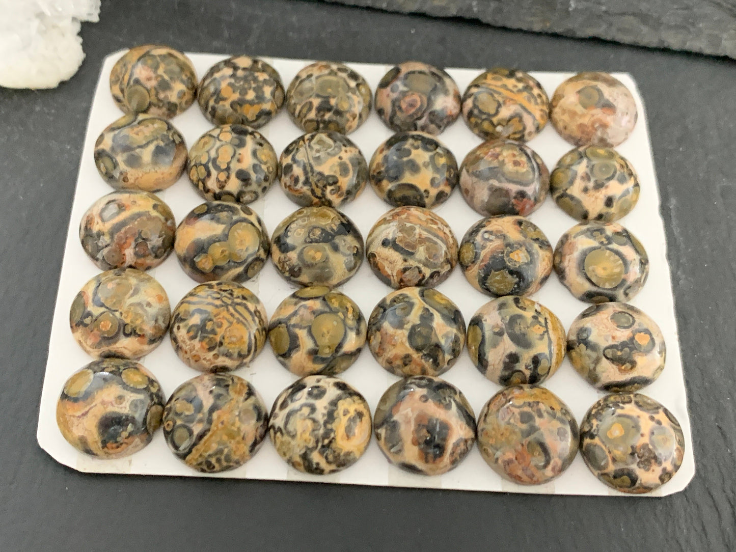 Leopard Jasper 12mm cabochon