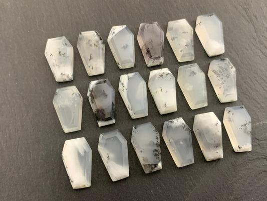 Step Cut Dendrite Opal coffin 10x16mm cabochon