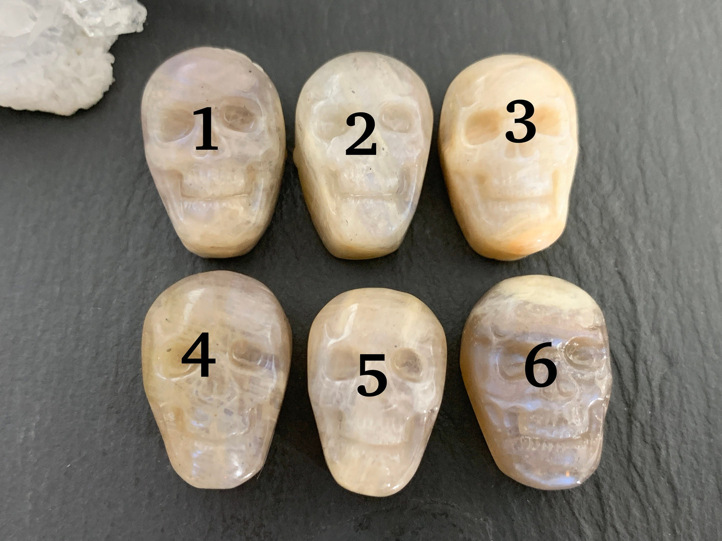 Moonstone skull 15x22mm cabochon carving
