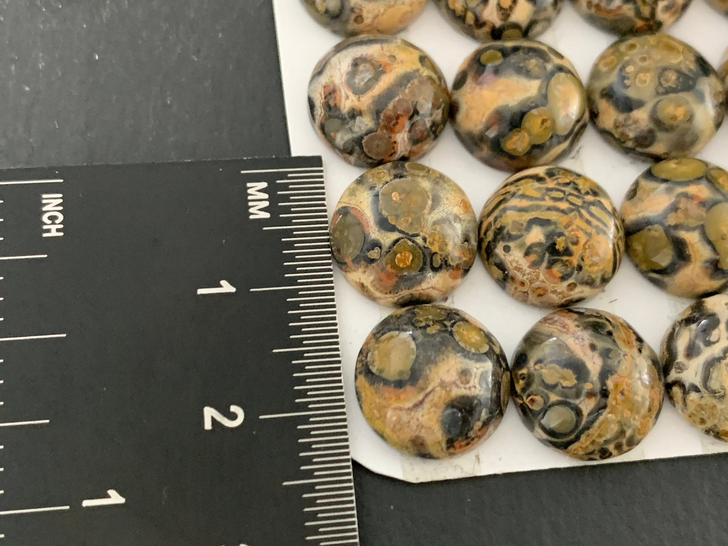 Leopard Jasper 12mm cabochon