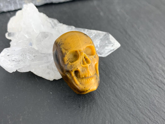 Tiger eye skull 15x21mm cabochon