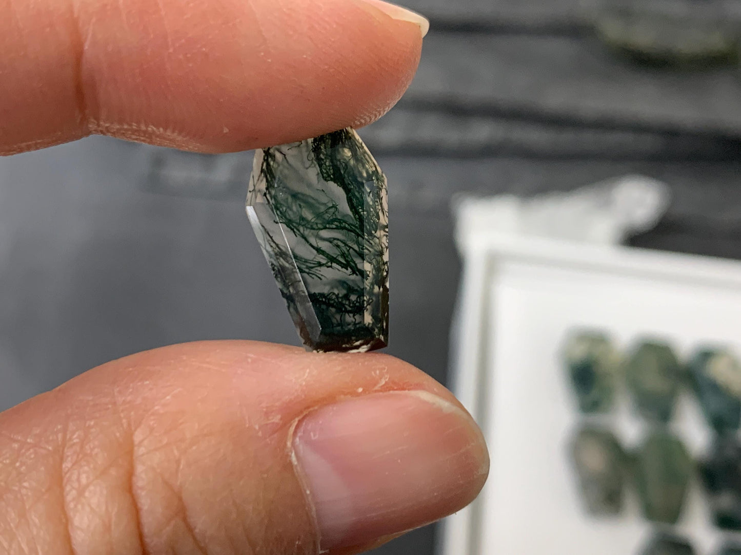 Faceted Moss Agate coffin 10x16mm cabochon