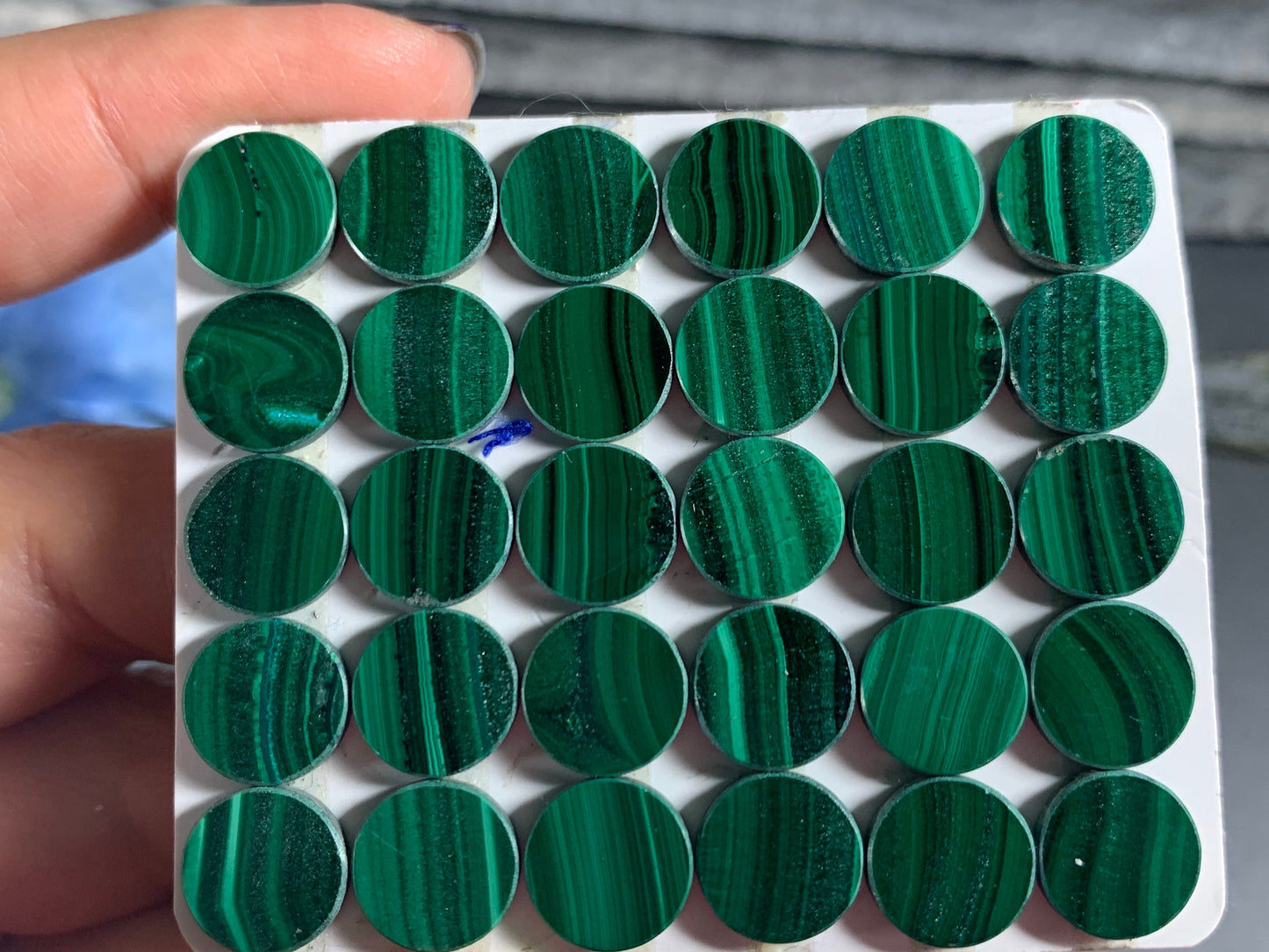 Flat Malachite round 10mm cabochon - Calibrated cabochons