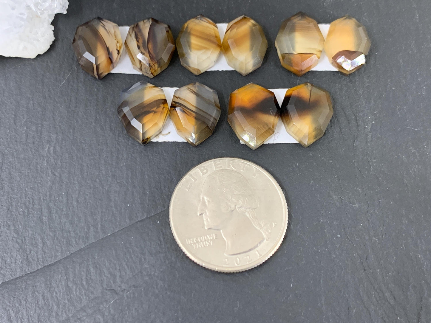 Faceted Montana Agate 13-14mm long cabochon - Buy by pair