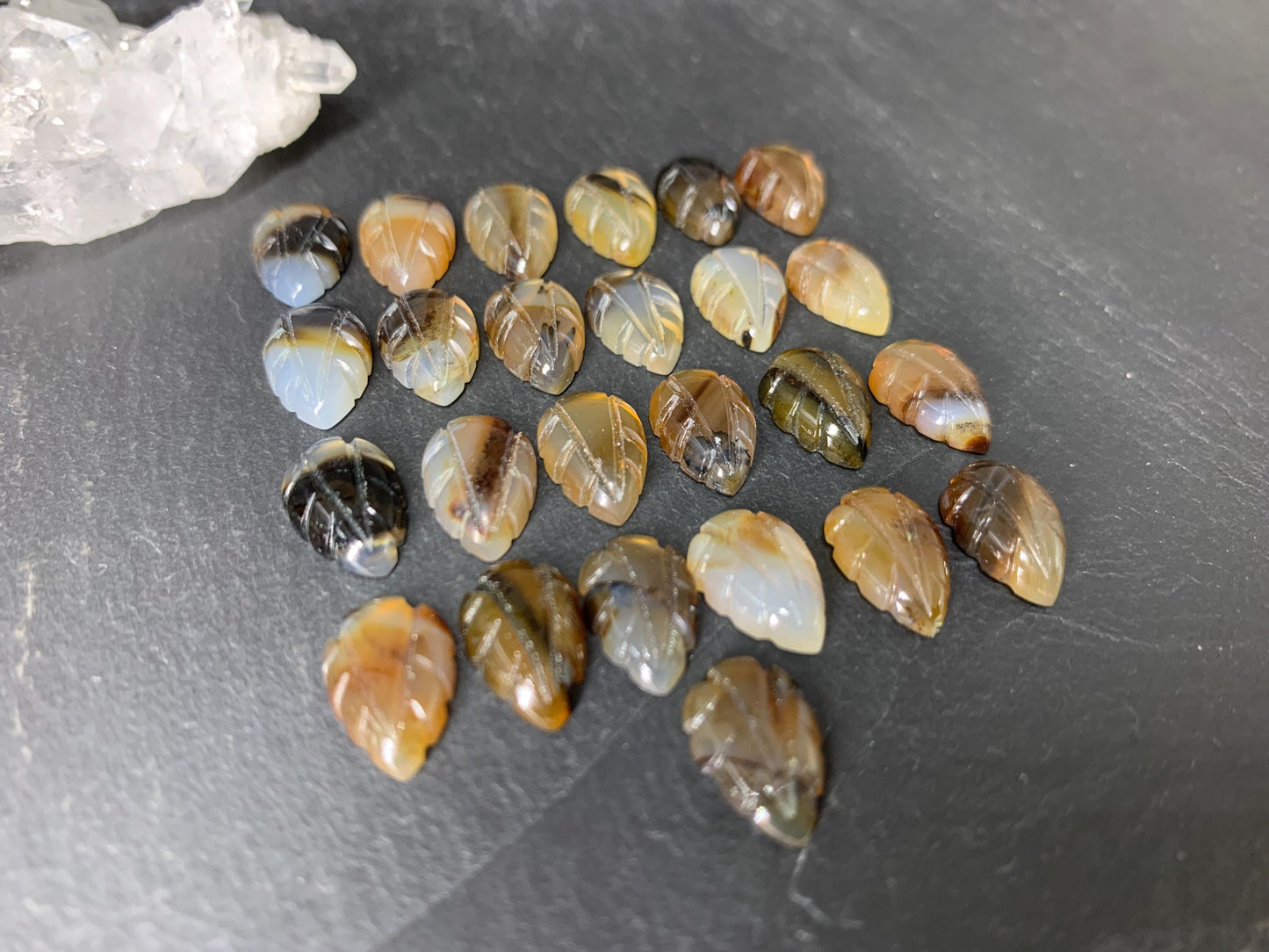 Montana Agate leaf 8x12mm cabochon