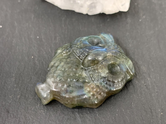 Labradorite Owl Carving - 27x35mm Natural Stone Flat Back Gem