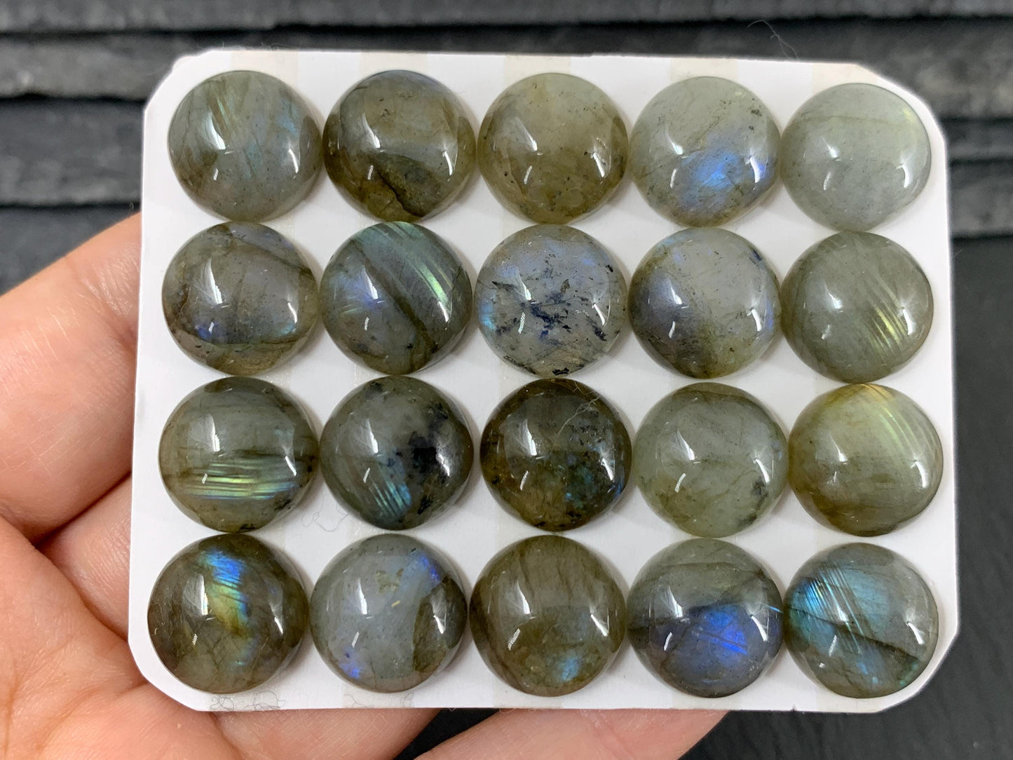 Labradorite round 14mm cabochon - Calibrated cabochons