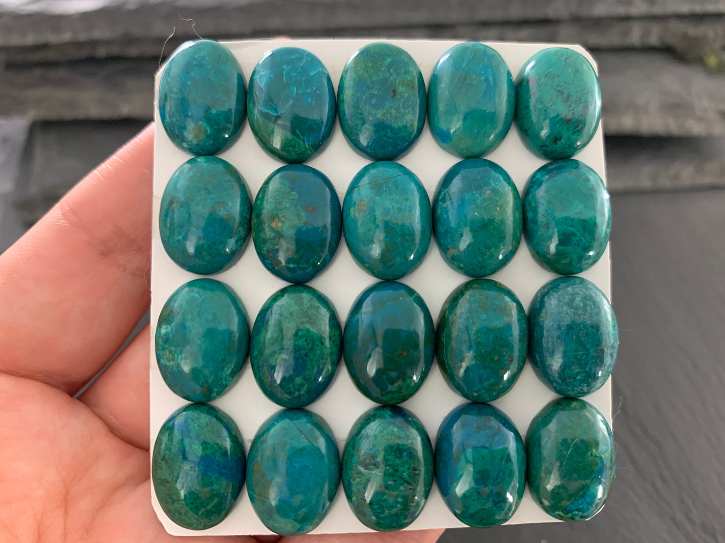Chrysocolla oval 12x16mm cabochon (Peru) - Calibrated cabochons