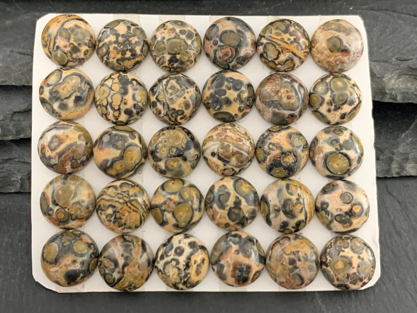 Leopard Jasper 12mm cabochon