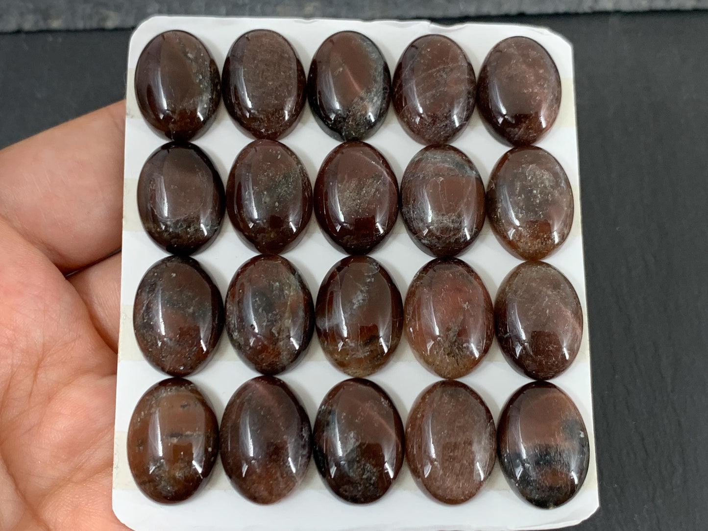 Cat's Eye oval 13x18mm cabochon - Calibrated cabochons