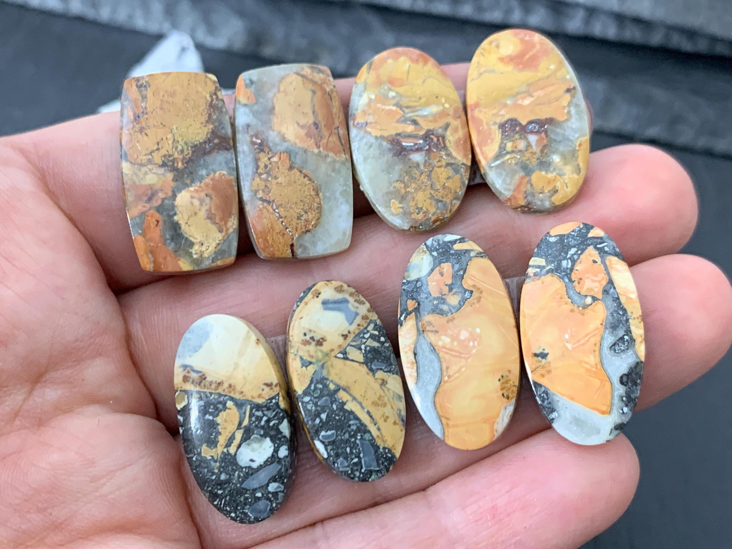 Maligano Jasper cabochon pair