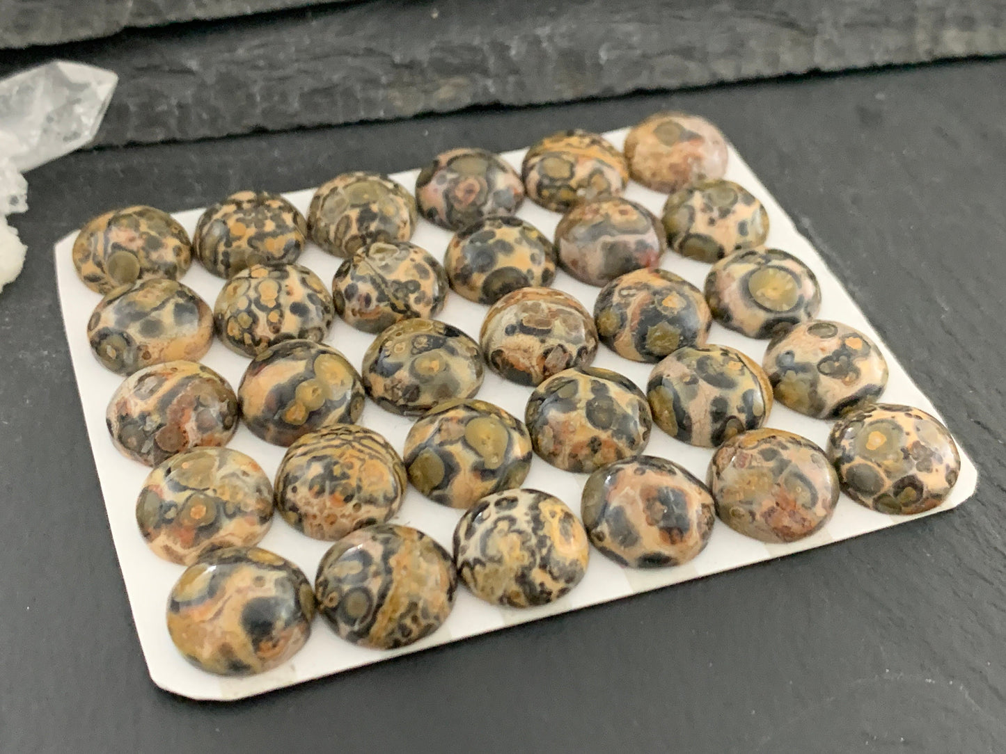 Leopard Jasper 12mm cabochon
