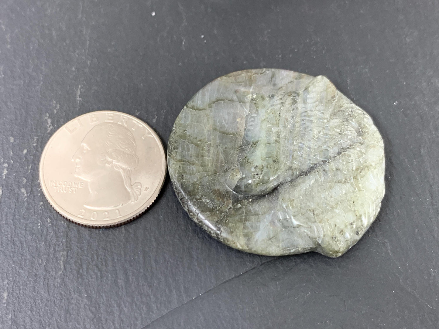 Wolf Labradorite Carving - 41mm Flat Back Gem With Color Shifting