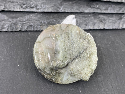 Wolf Labradorite Carving - 41mm Flat Back Gem With Color Shifting