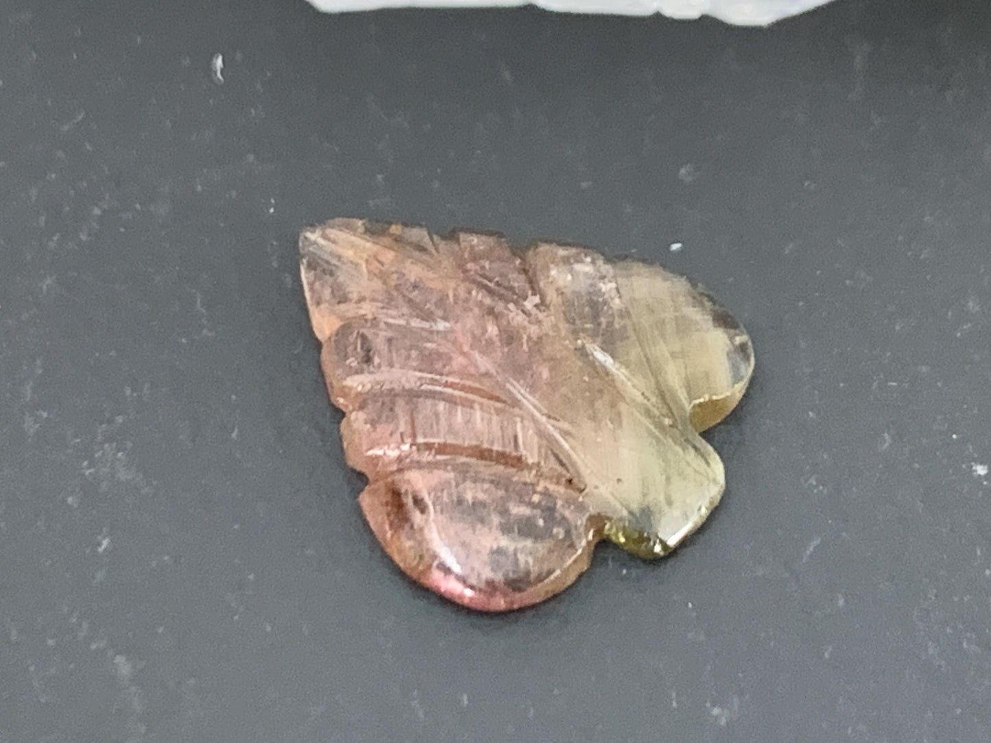 Carved Tourmaline 12x14x2mm cabochon