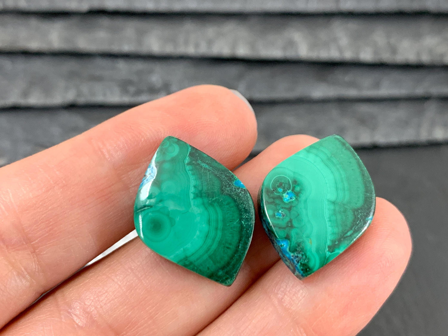 Malachite Chrysocolla free form 14x21x5mm cabochon pair