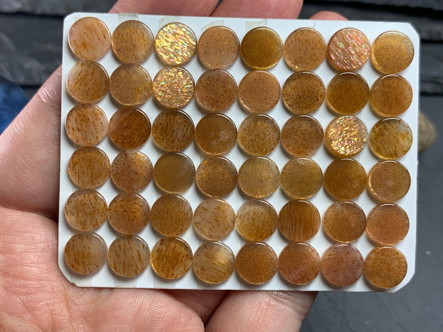 Flat Gold Sunstone round 8mm cabochon - calibrated cabochons