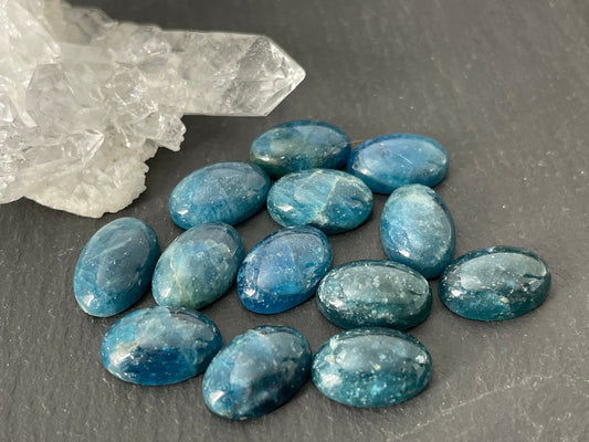 Blue Apatite oval 8x12mm cabochon - Calibrated cabochons