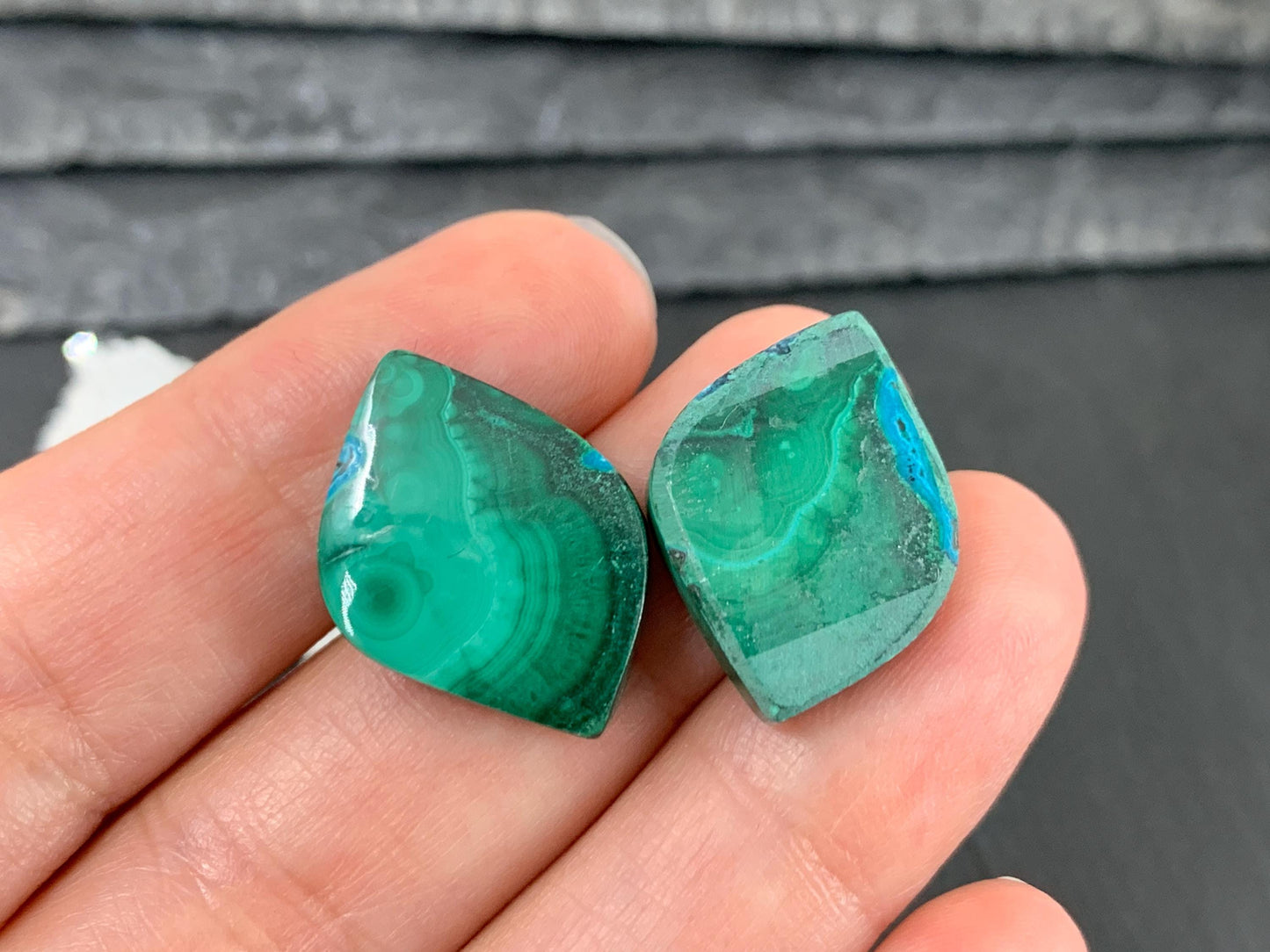 Malachite Chrysocolla free form 14x21x5mm cabochon pair