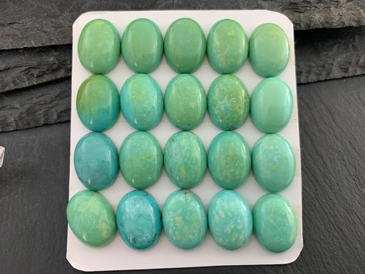 Nevada Turquoise oval 12x16mm cabochon