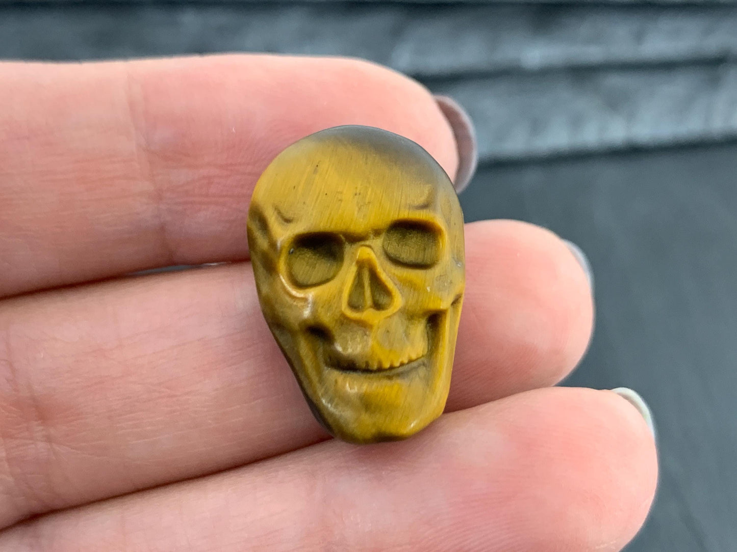 Tiger eye skull 15x22mm cabochon