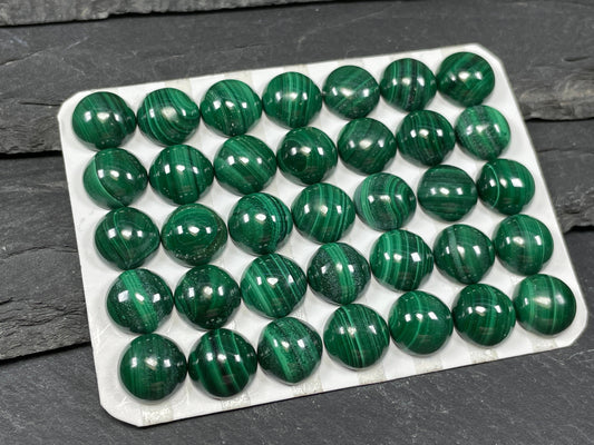 Malachite round 10mm cabochon - Calibrated cabochons