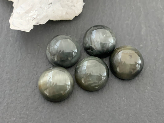 Eagle Eye round 10mm cabochon - Calibrated cabochons
