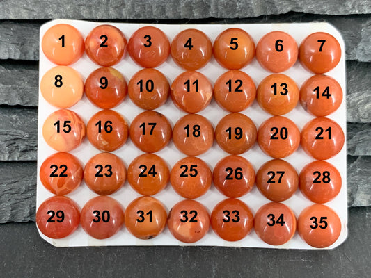 Mexican Opal round 10mm cabochon - Calibrated cabochons