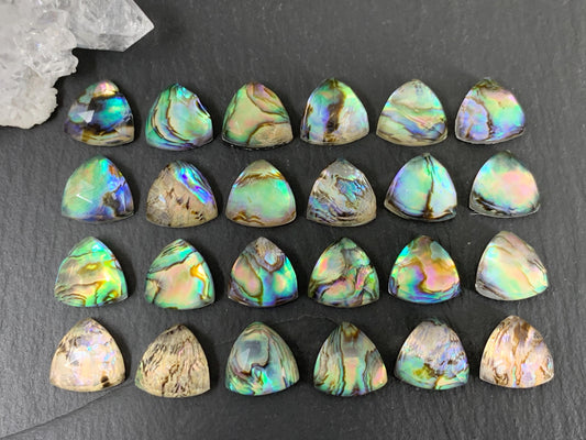 Faceted Abalone triangle 12mm doublet cabochon
