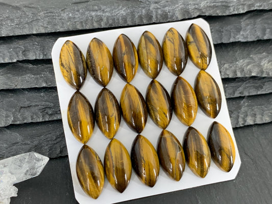 Tiger Eye marquise 10x20mm cabochon