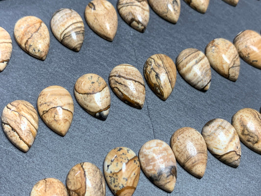 Picture Jasper pear 10x15mm cabochon - Calibrated cabochons