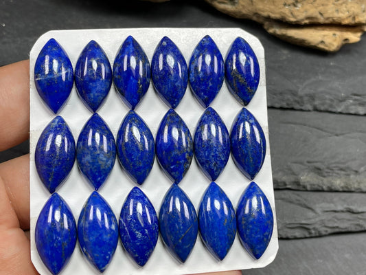 Lapis Lazuli marquise 10x20mm cabochon - Calibrated cabochons