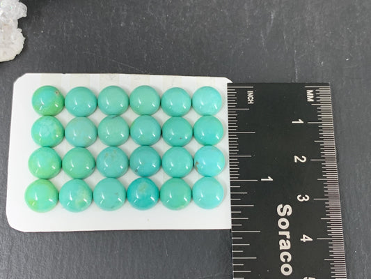 Turquoise round 8mm cabochon - Calibrated cabochons