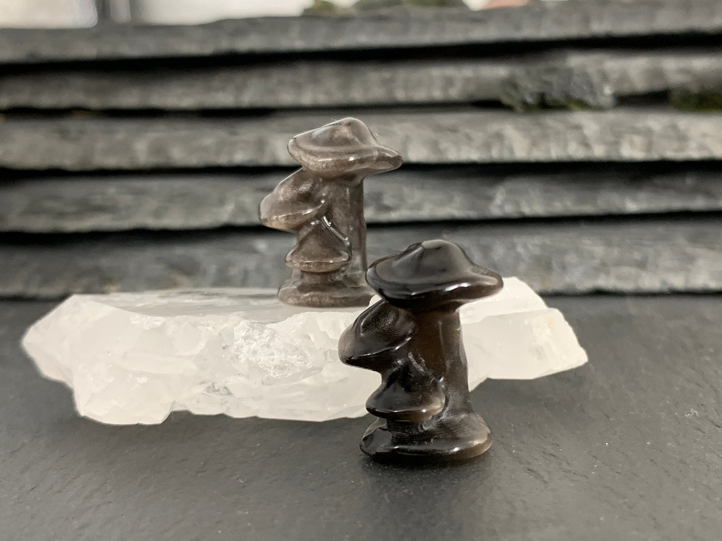 Obsidian Mushroom - Mushroom carving