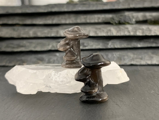 Obsidian Mushroom - Mushroom carving