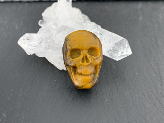 Tiger eye skull 15x21mm cabochon