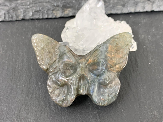 Ghost Face Butterfly Carving – Hand Carved Gemstone Flat Back Gem 29x40mm