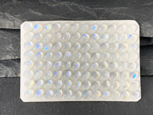 Rainbow Moonstone round 5mm cabochon - Calibrated cabochons