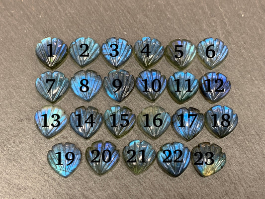 Labradorite Sea shell 12x12mm cabochon carved
