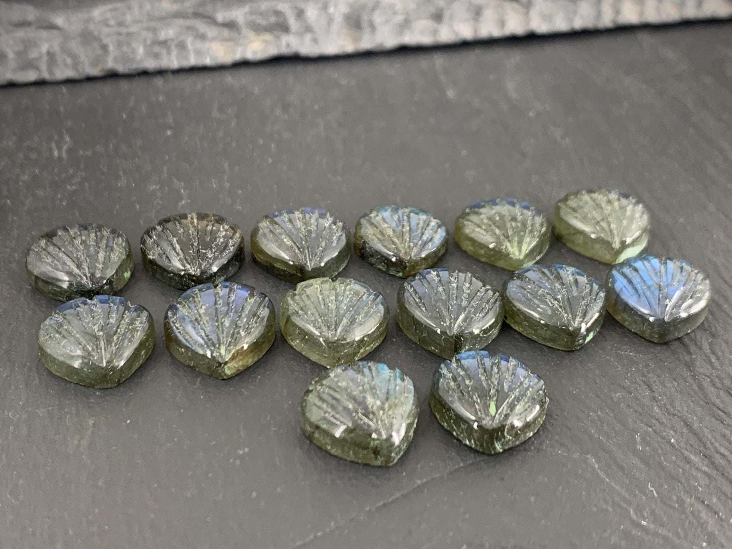 Labradorite Sea shell 12x12mm cabochon carved