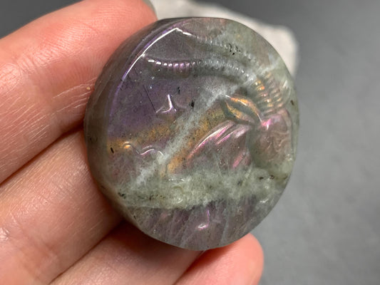 Capricorn Purple Labradorite Zodiac Signs - Zodiac Constellations Carving