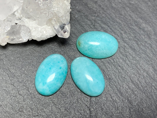 Amazonite oval 8x12mm cabochon - Calibrated cabochons