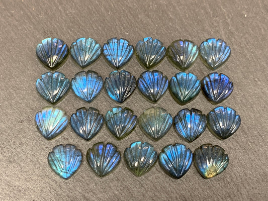 Labradorite Sea shell 12x12mm cabochon carved