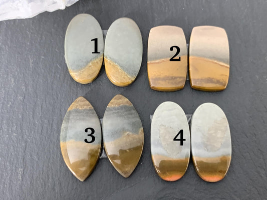 Polychrome Jasper cabochon pair