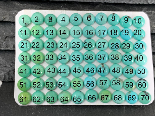 Turquoise round 6mm cabochon - Calibrated cabochons