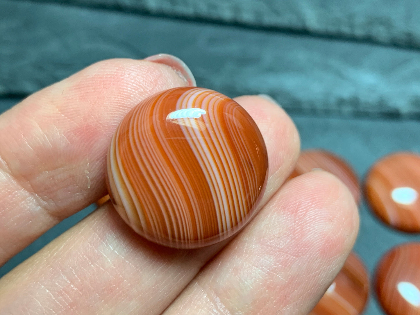 Red Agate round 20mm cabochon - Calibrated cabochons